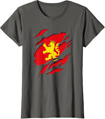 Camiseta 3D Zaragoza: Bandera y Escudo de Aragón