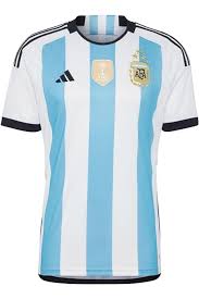 Camiseta Messi Argentina 100% Algodón - ¡Regalo Perfecto!